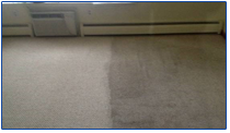 carpet before and after cleaning