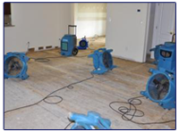 Water Damage Remediation